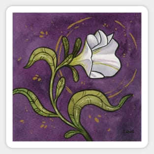 White Petunia - full painting Sticker